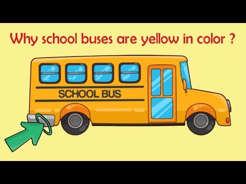 Why are School Buses Yellow in Color? | GK Questions and Answers