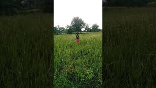 Download lagu pramod sahu mp3