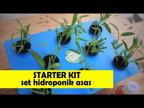 , title : 'starter kit set hidroponik - asas hidroponik pemula (set takungan)'