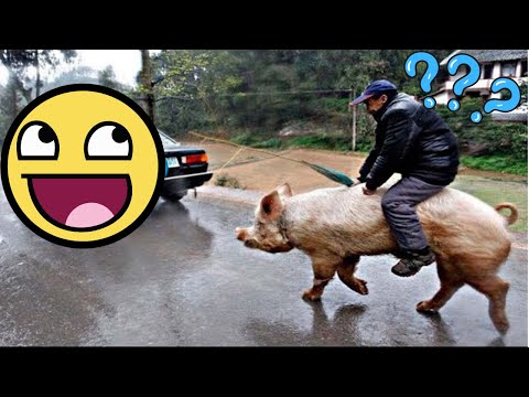 Compilación de Caídas Graciosas 2024 🔥| Los Mejores Bloopers y Fails 😂 V9