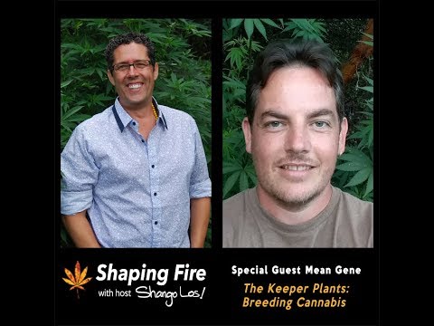 Shaping Fire Ep. 24 - The Keeper Plants: Cannabis Breeding with guest Mean Gene