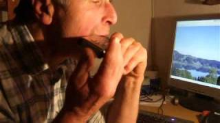 Video thumbnail for Meine Hohner Echo Harp Mundharmonika by Irmgard Haberstock