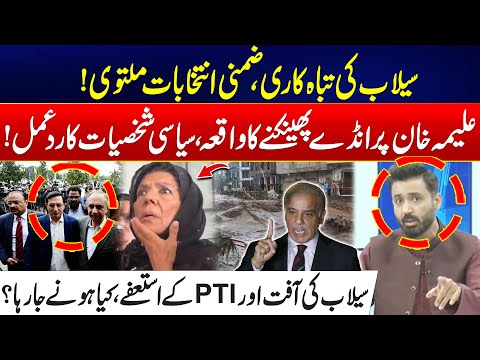 Flood Chaos In Punjab & By-Elections Postponed - Aleema Khan Egg Incident, Political Reactions