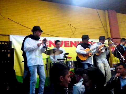 volvio la venezolana