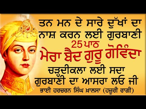 My Baid Guru Govinda || Bhai Harcharan Singh Khalsa Hazoori Ragi Sri Darbar Sahib