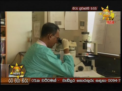 Hiru News 9.55 PM | 2020-01-27
