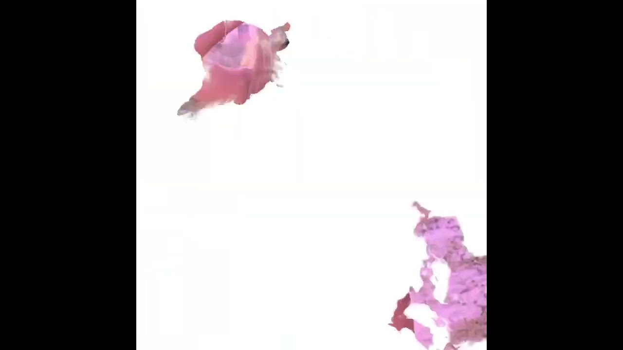 Roberto Carlos Borbolla Alvarado-382