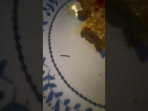 Mama Cozzi - Metal in pizza - Image 2