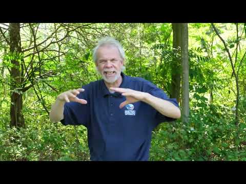 The Towers of Gettysburg with Tim Smith