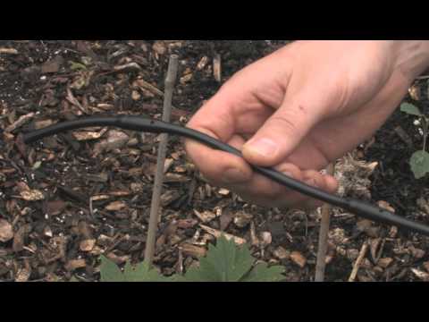 Drip Irrigation Basics for the Garden #gardentips #dripirrigation #dripirrigationsystem