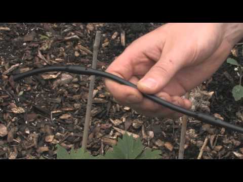 Part of a video titled Drip Irrigation Basics - YouTube