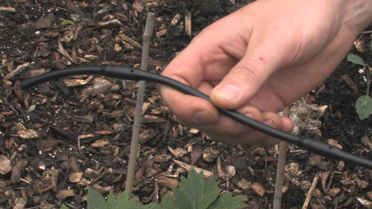 Drip Irrigation Basics for the Garden #gardentips #dripirrigation #dripirrigationsystem