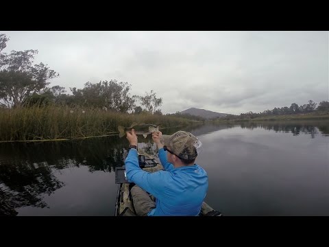 GoPro: Matthew Bray - Best Catch 06.01.15 - Fish
