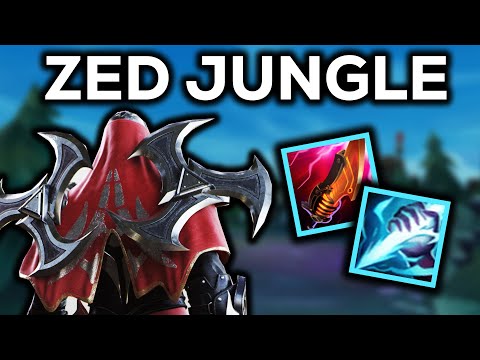 ZED, BUT HE IS THE JUNGLER. (detailed guide)
