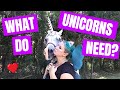 The Care and Feeding of Unicorns