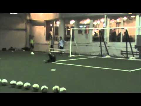 Goalkeeper Montage Final (no audio)