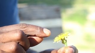 Talking with CLINTON  FEARON (Gladiators)