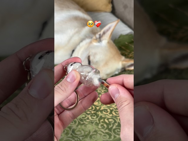 Vídeo relacionado con Regalo para amantes de perros de rescate de amor de paz Manga Larga