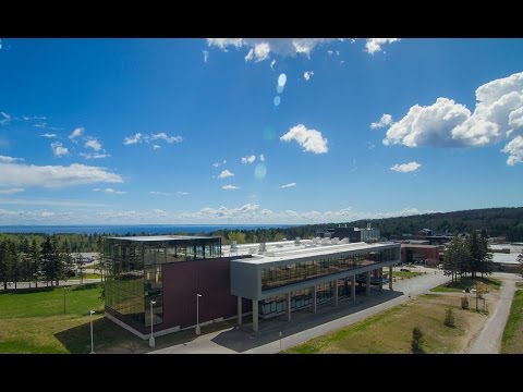 Bird's Eye View of Campus