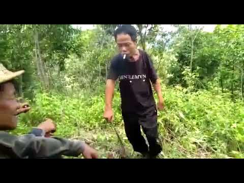 This is how the tribal people dance