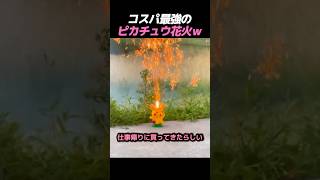 コスパ最強のピカチュウ花火ｗ
