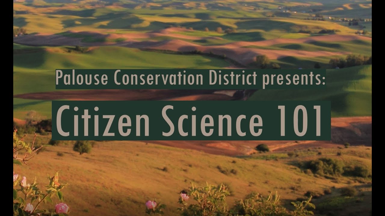Citizen Science 101