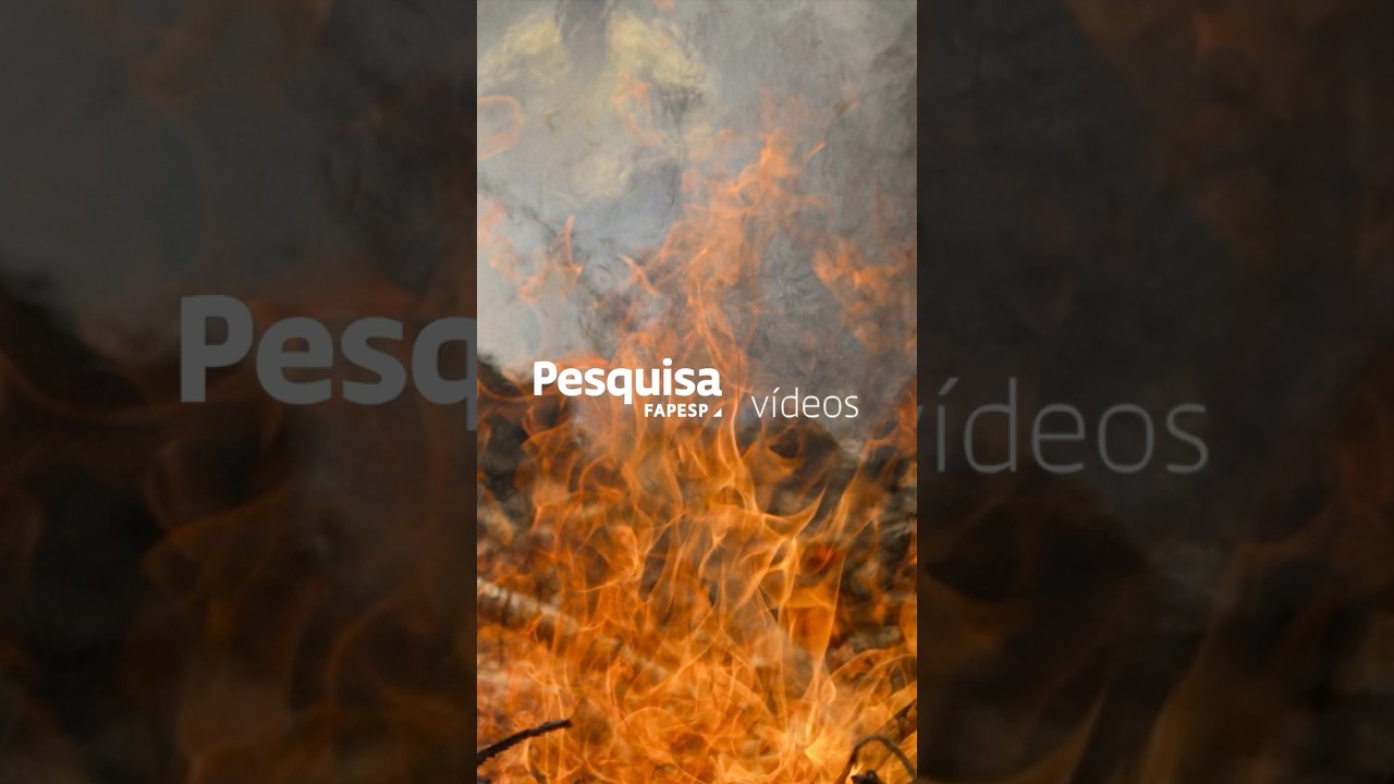 Vídeo novo no domingo: Pantanal pede socorro #teaser #shorts #criseclimatica #sos