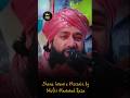 Mufti Hammad Raza
