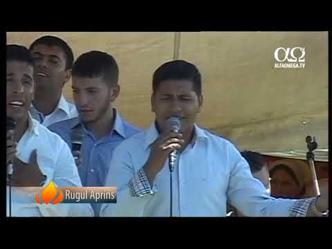 Rugul Aprins Ponoara 2013 - sesiunea 13