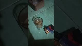 Download lagu Ngopi malem di rumah teman#shorts #kopi mp3