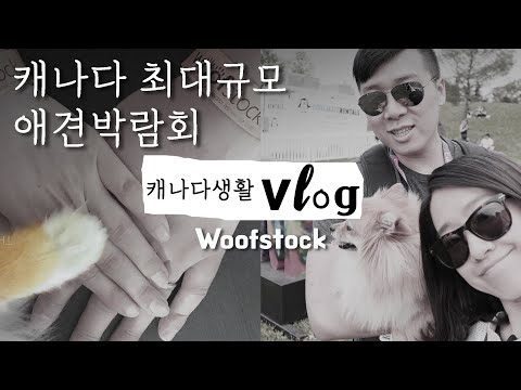 download lagu mp3 mp4 Woofstock Dog Festival, download lagu Woofstock Dog Festival gratis, unduh video klip Woofstock Dog Festival