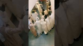 بري بور سك # زغاوة حلاة 🔥❤🦅