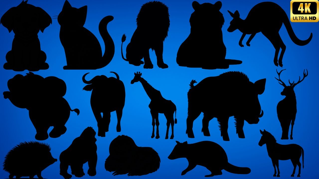 Guess the Land Animal by Its Shadow! 🐾 45 Fun Shadow Animal Quiz Challenges for Kids & Families