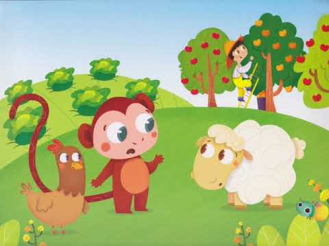 TICO AYUDA A GALLINA