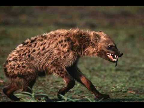 Denow -  Jij Wilt Geen Drama