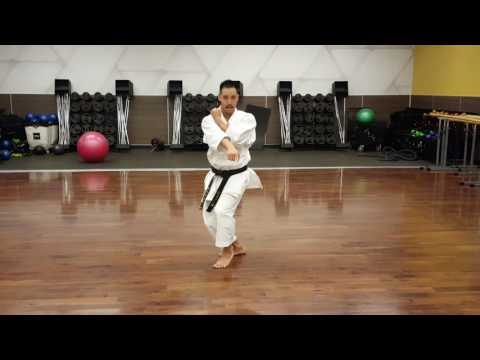 Kata Taikyoku Shodan Tutorial