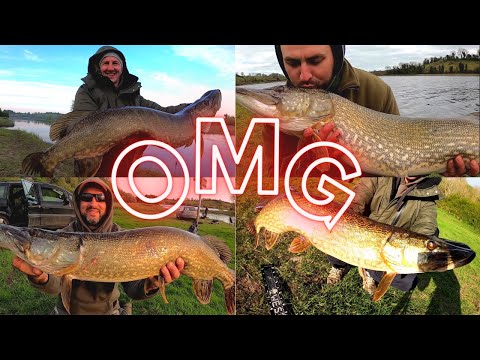 Top 10 Szczupaków na spinning, Ogromne Szczupaki,   Kompilacja