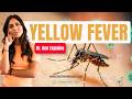 Yellow Fever Symptoms: When to Worry + Prevention (Doctor Explains)