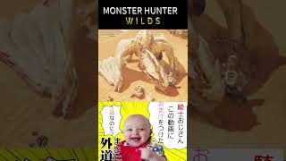 【モンハンワイルズ】騎士おじさん 003 セルレギオスvsバカ1号 #モンハンワイルズ #初心者 #切り抜き #MHWs #MHWildsl #セルレギオス