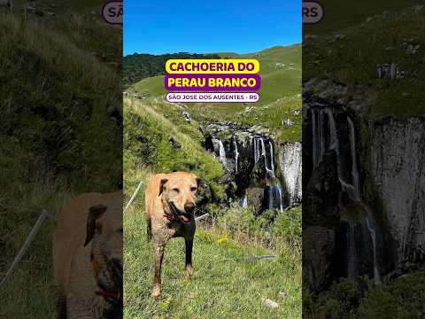 😱DESCONHECIDA em São José dos Ausentes  #cachoeiraperaubranco