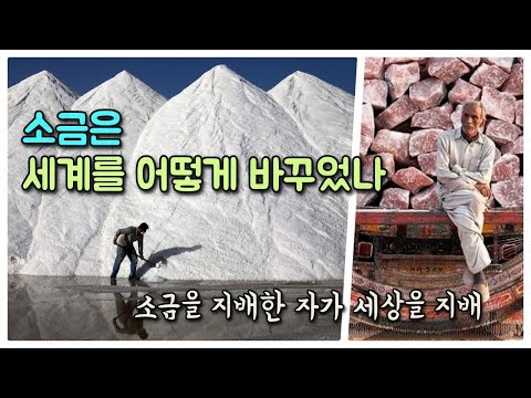 소금은 세계를 어떻게 바꾸었나. ‘소금을 지배한 자가 세상을 지배한다’