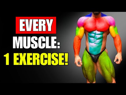 6 Powerful Exercises That WORK EVERY MUSCLE in JUST ONE MOVE!