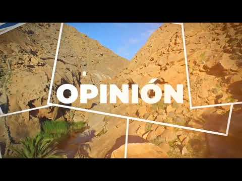 #EspecialLaGavia I Deportes Gran Tarajal y Animal Love reivindican unión y apoyo al comercio local