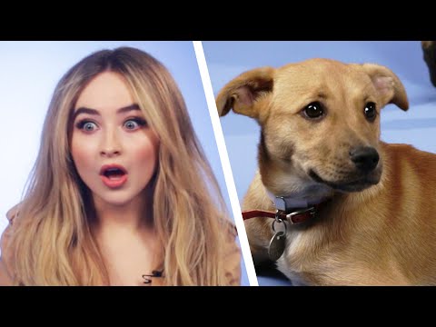 Sabrina Carpenter Plays With Puppies While Answering Fan Questions