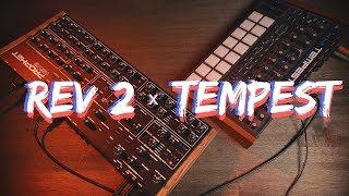 Prophet REV2 Desktop and Tempest - 10 Good Minutes Ep. 1