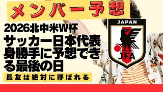 サッカー日本代表を決めよう（無責任に）