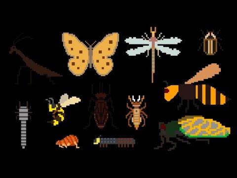 Insects 2 - @TheKidsPictureShow