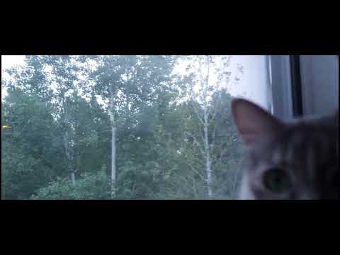 July Weather - 07/14/2022