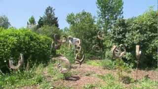 preview picture of video 'Jardin en Rhône Alpes - Le jardin de Maurice Laurent'