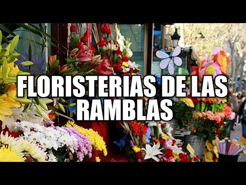 BARCELONAUTES / FLORISTERIAS DE LAS RAMBLAS